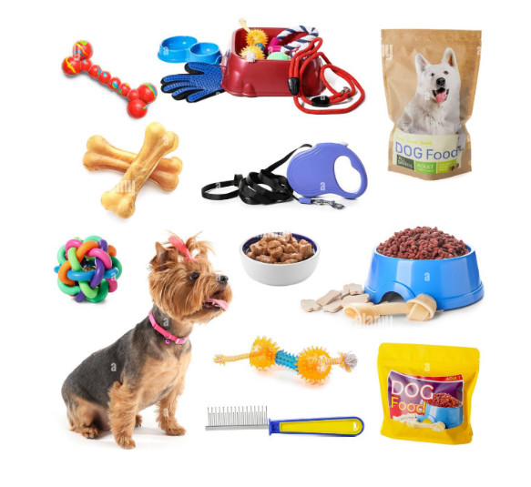 How pet accessories are influenced by fashion and design